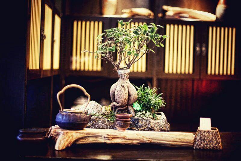 Ningbo Zhengfang Inn Екстериор снимка